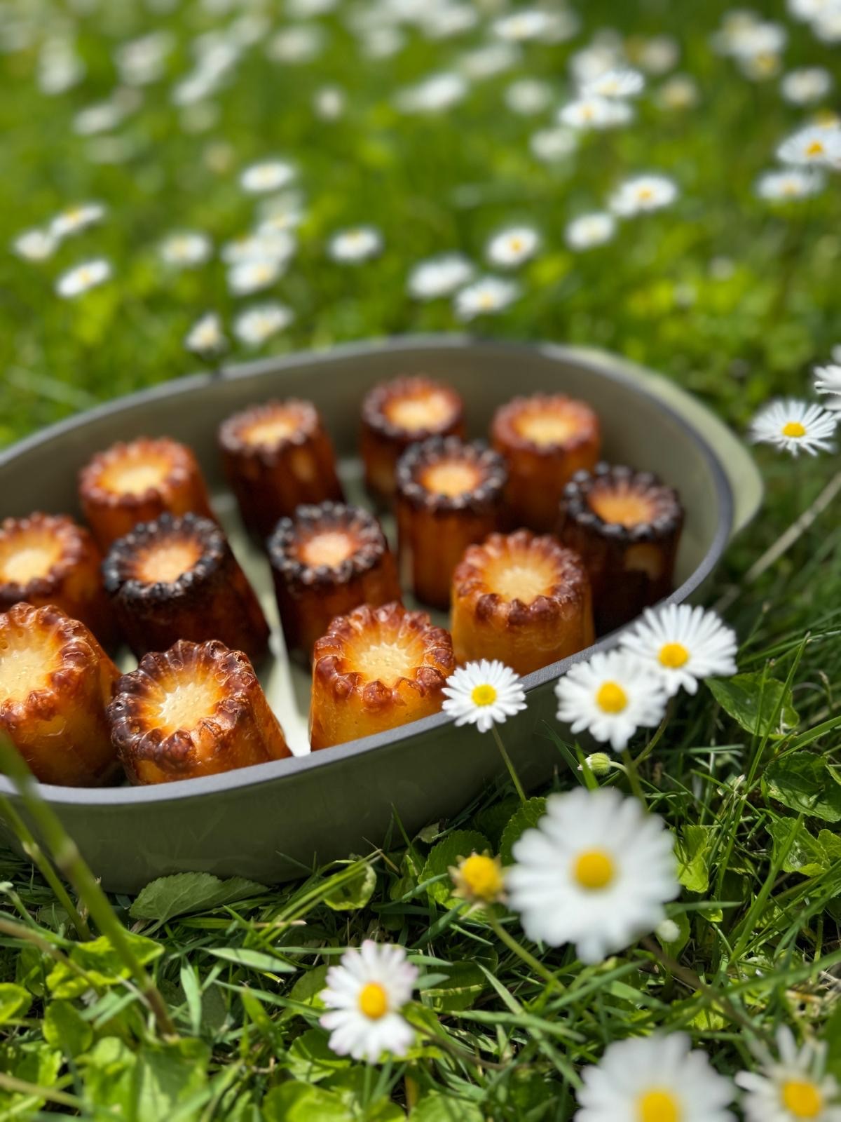 Canelés dans un jardin fleuri